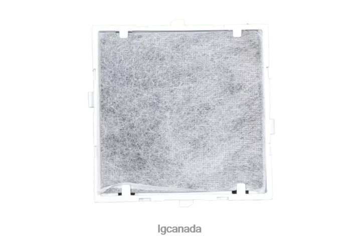 Accessory| LG Refrigerator Air Filter ADQ73853822 2Z0J0119