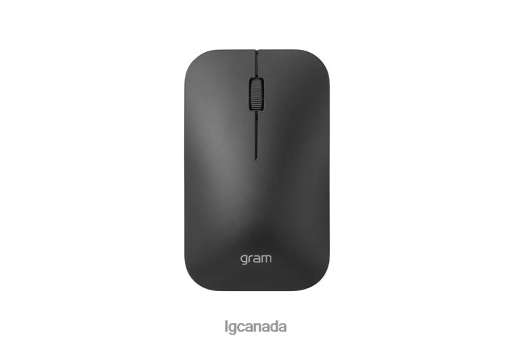 Accessory| LG gram Wireless Mouse 2Z0J0449