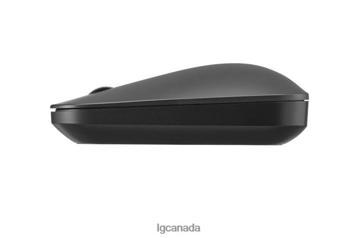 Accessory| LG gram Wireless Mouse 2Z0J0449