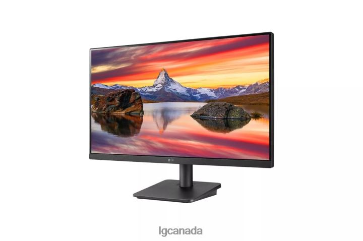 Monitor| LG 24