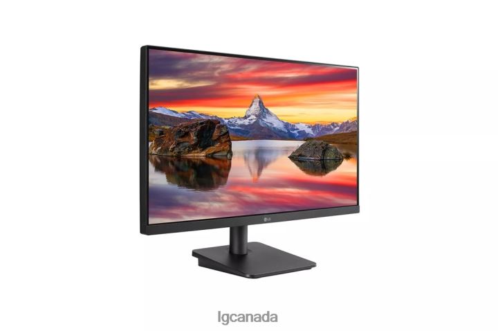 Monitor| LG 24
