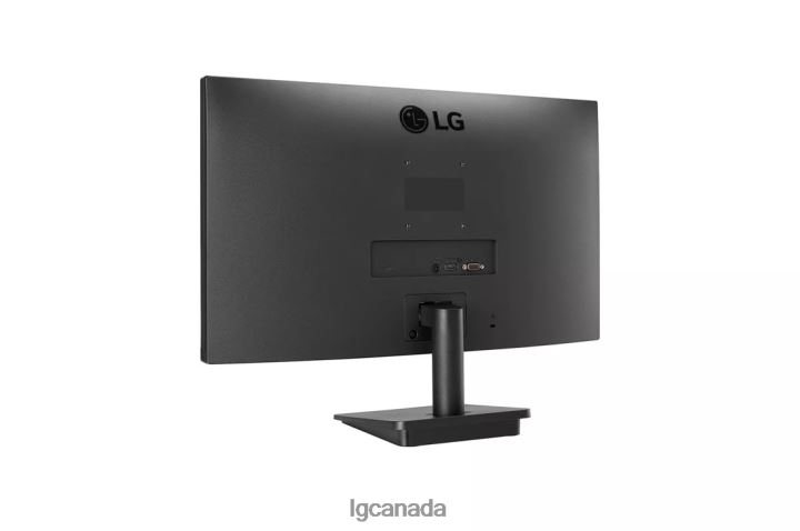 Monitor| LG 24