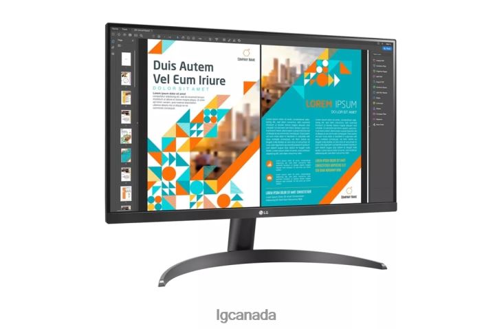 Monitor| LG 24