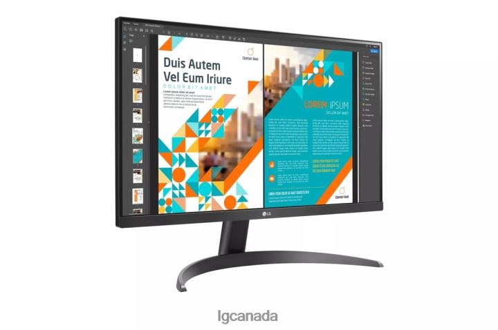 Monitor| LG 24