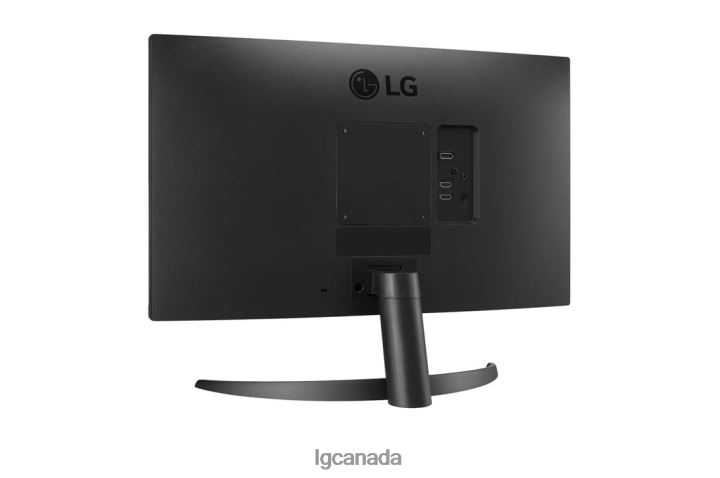 Monitor| LG 24