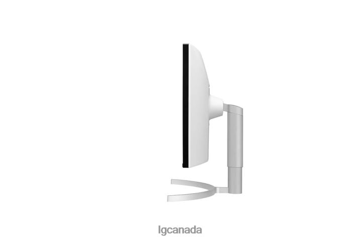 Monitor| LG 38WN95C-W 38 Inch UltraWide QHD+ IPS Curved Monitor with Thunderbolt3 Connectivity 2Z0J0393