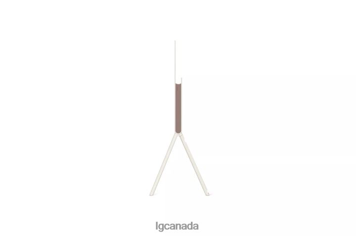 TV| LG OLED | Objet Collection Pose 2Z0J0263